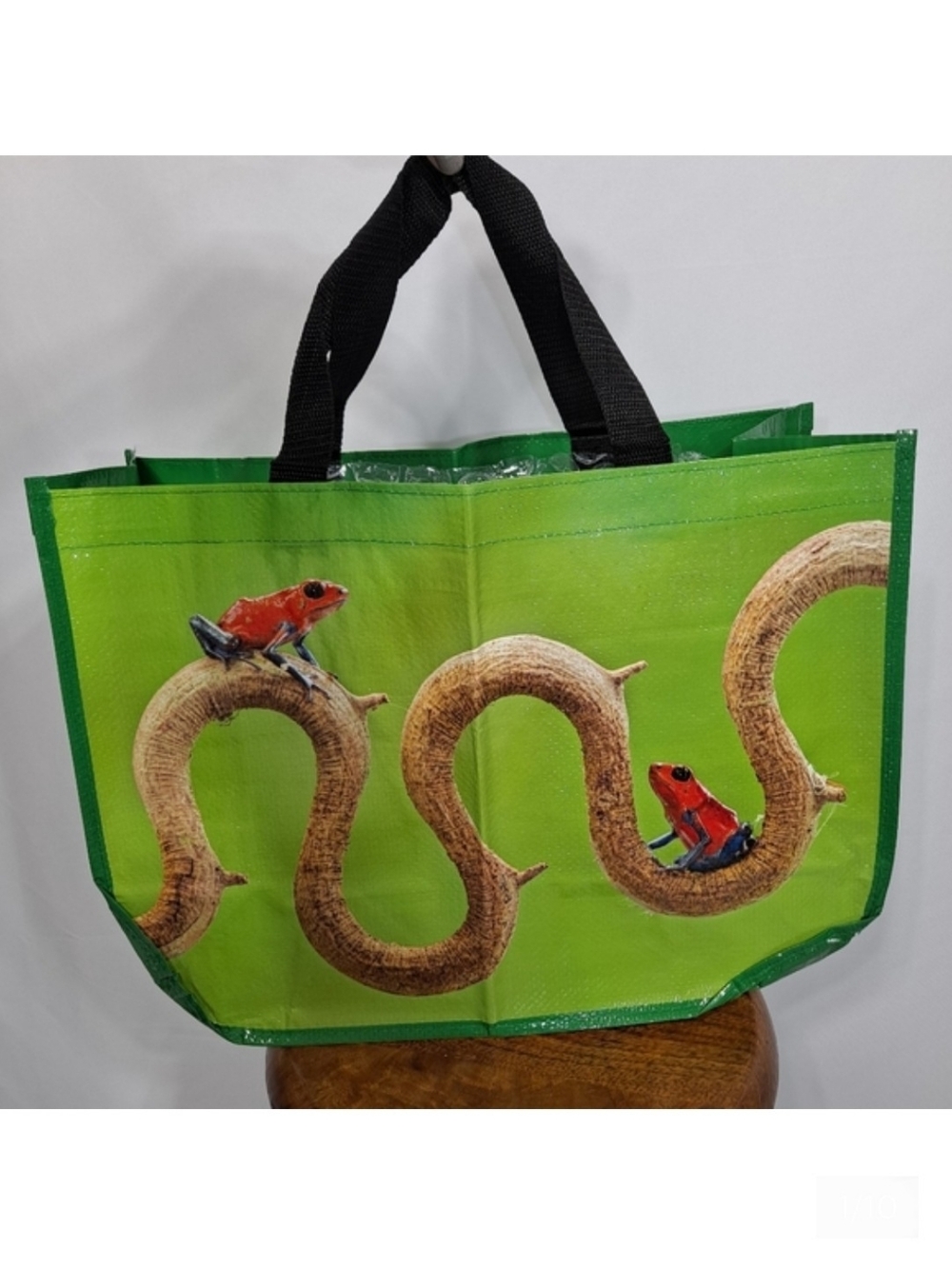 The Nature Conservatory Poison Dart Frog Vinyl Tote NWOT